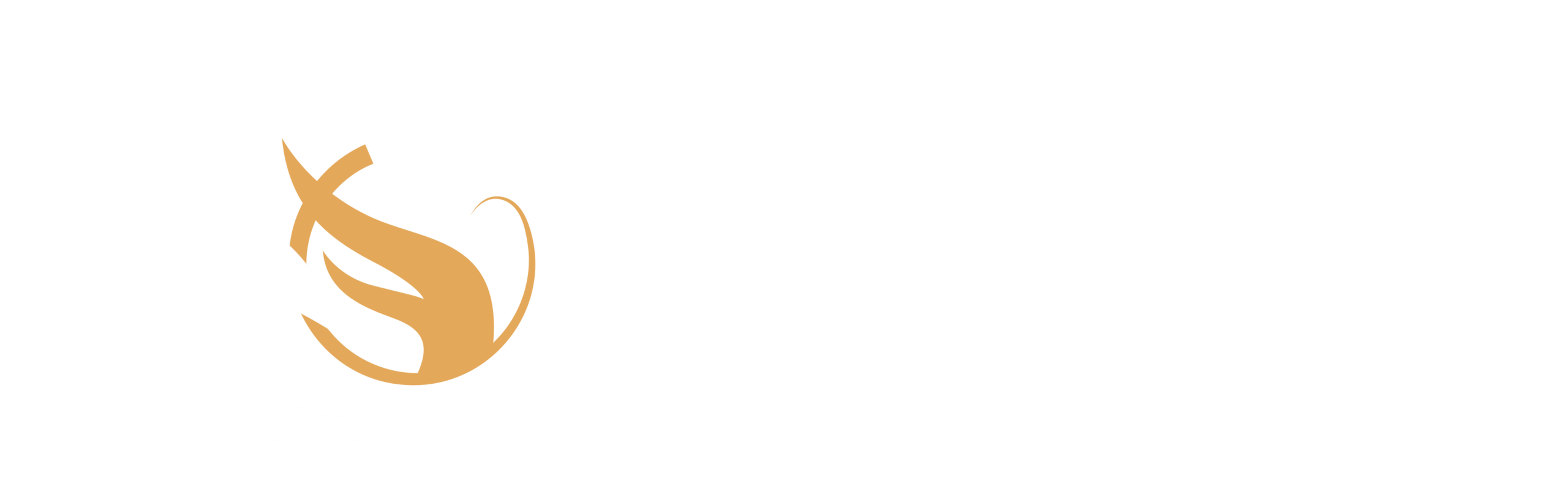 Fundación Sila M. Calderon